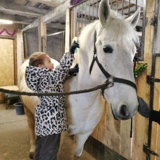 "Наша Ласточка"