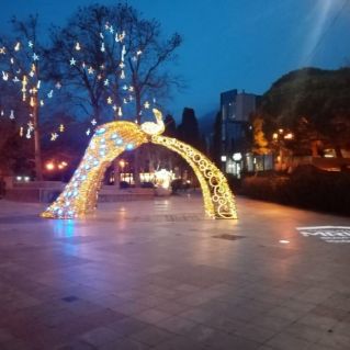 Птица счастья