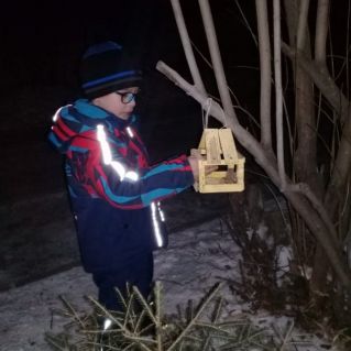 Фотография "Помоги птицам зимой!"