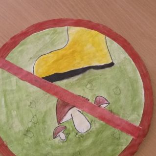 Мой край "Человек защитник природы"