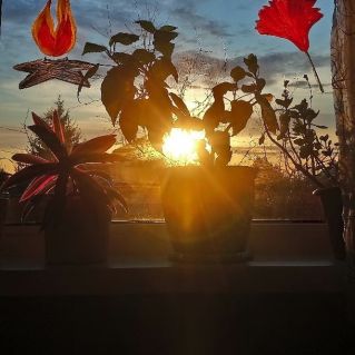 "Удивительный закат"