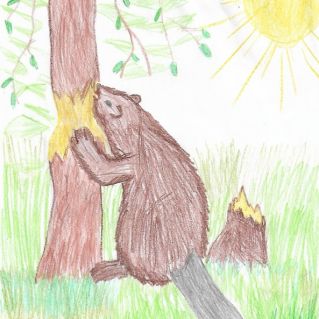 "Речной строитель"