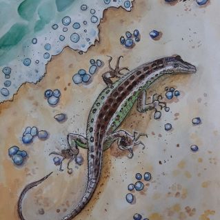 "Сказочная Земля"