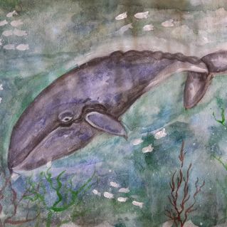 "Сохрани водную экосистему ЗЕМЛИ!"