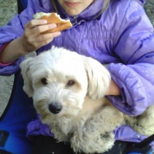 "Походники"