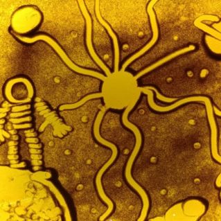 "Открытый космос"