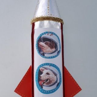 Собачки космонавты