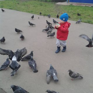 поделка сделанная из бросового  материала " Птицы мира"