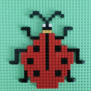 "Божья коровка"