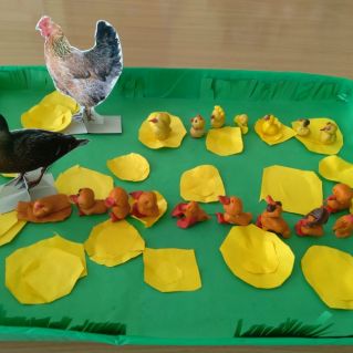 "Первое путешествие"