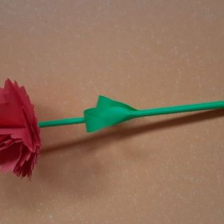 " Красная гвоздика"