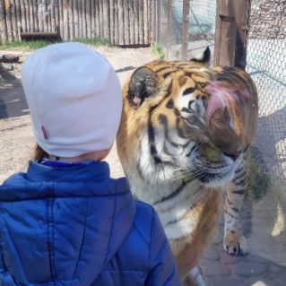 Миленький тигренок