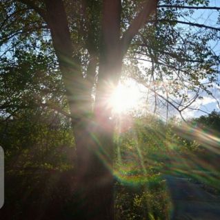 Солнышко Лучистое