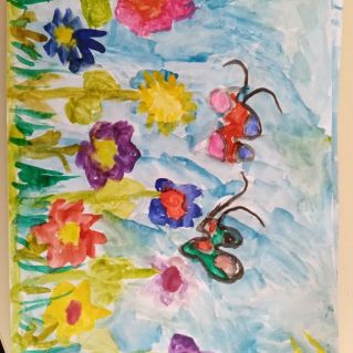 Чудеса природы