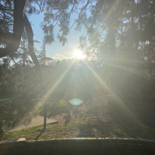 Сила Солнца