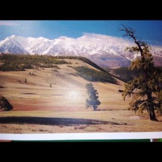 Природа моего края