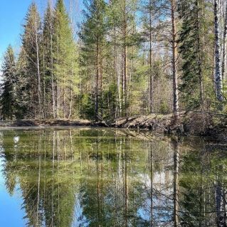 Зеркало природы