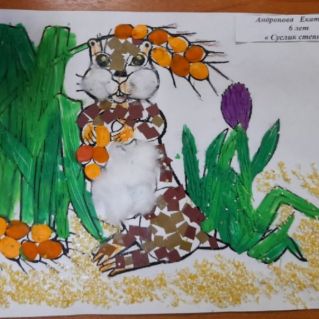 Суслик степной