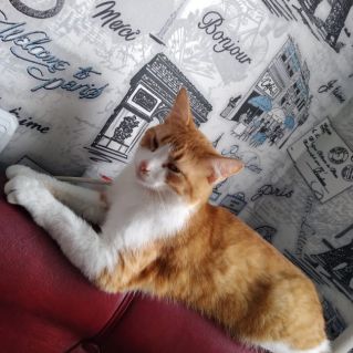 Мой любимый Рыжий