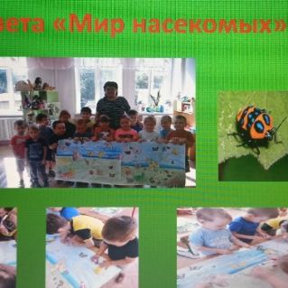 "В мире насекомых"