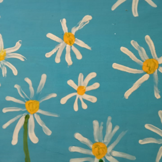 Ромашковое поле