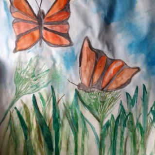 Две бабочки