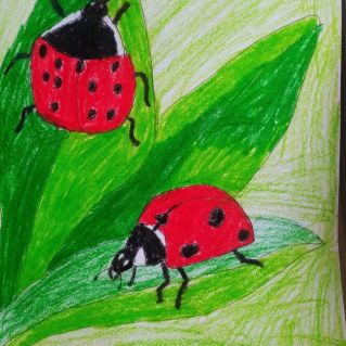 Божья коровка