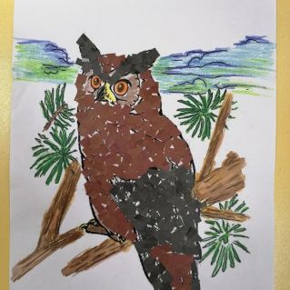 Сова из мультфильма "Винни Пух и все-все-все"