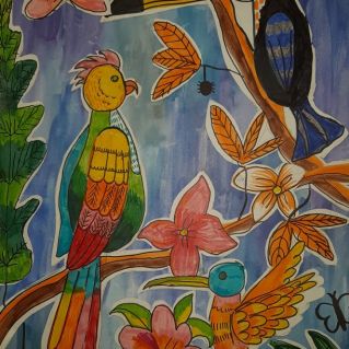 Экзотические птицы,