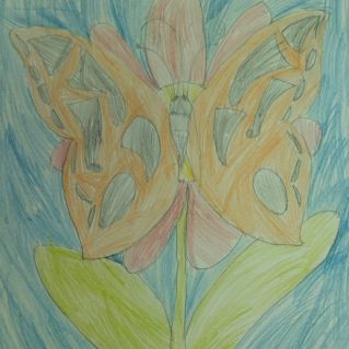 Бабочка на цветке