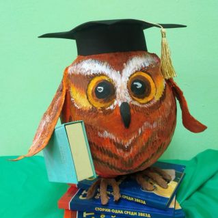 Мудрая сова