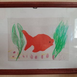 Рыбка в аквариуме