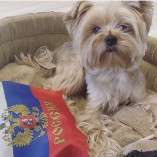 Я люблю свою страну!