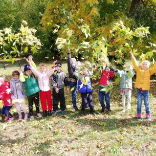 Фотография "Осень золото нам дарит".