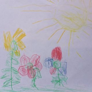 Летние цветы