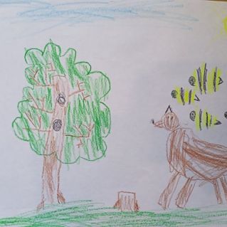 Лето в лесу