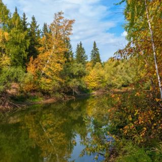 Золотая осень