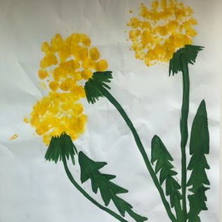 Одуванчики