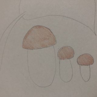 Грибная полянка