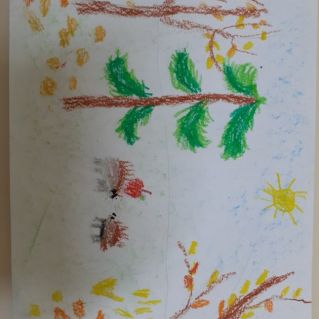 "Прогулка по  лесу"