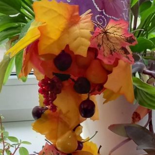 "Дары Волшебницы-Осени"