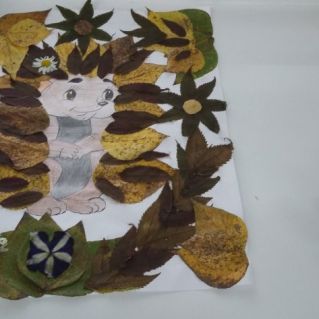 "лесной ёжик"