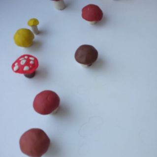 "Грибная поляна"