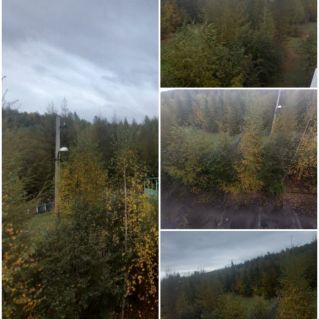 Наступает осень