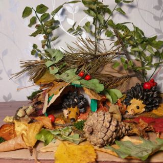 Осенний лес