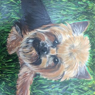 " Мой любимый питомец"