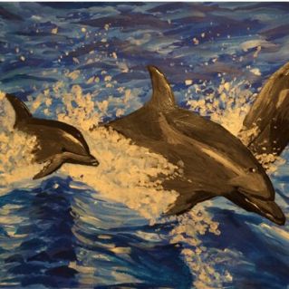 Дельфины Афалины