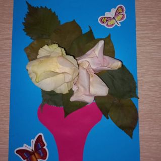 Дивная роза