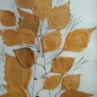 Листопад, листопад, листья жёлтые летят