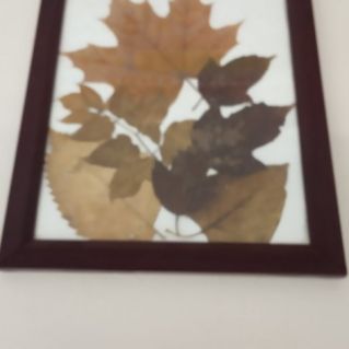 Осенние мотивы